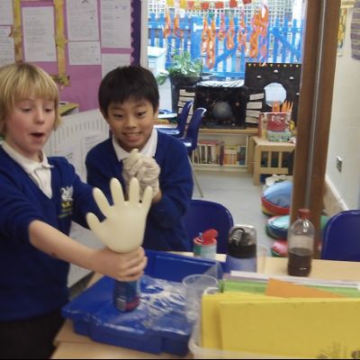 Y5 Science 