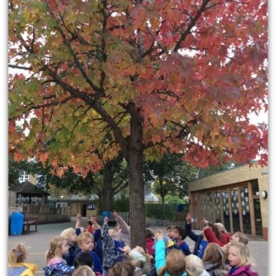 Autumn in Nursery