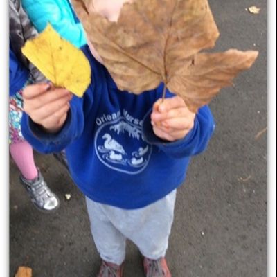 Autumn in Nursery