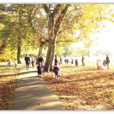 Autumn walk