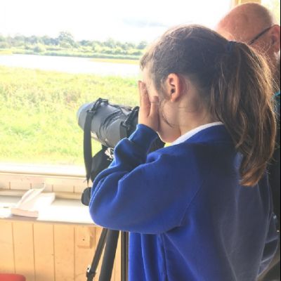 Barnes Wetland Centre