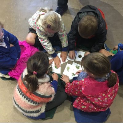 Barnes Wetland Centre