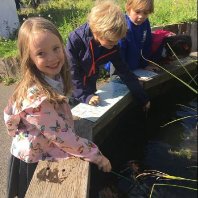 Barnes Wetland Centre