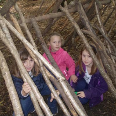 Shelter building in the local woods