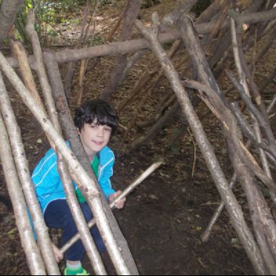 Shelter building in the local woods