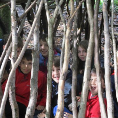 Shelter building in the local woods