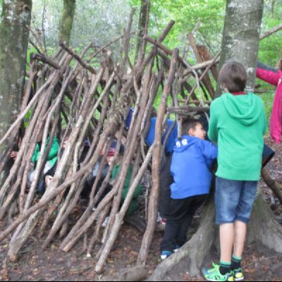 Shelter building in the local woods