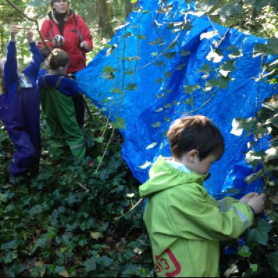 Mondrian Forest School