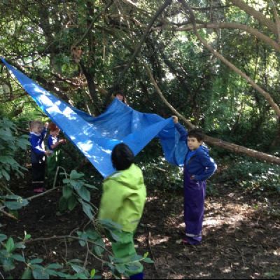 Mondrian Forest School