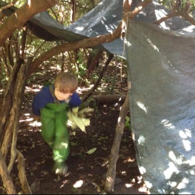 Mondrian Forest School