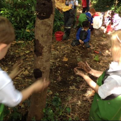 Mondrian Forest School